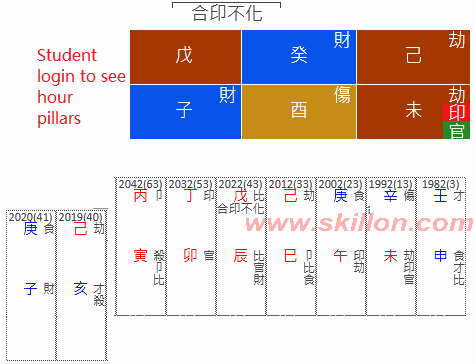 Ashraf Sinclair 八字 BaZi Four Pillars of Destiny Patt Chee